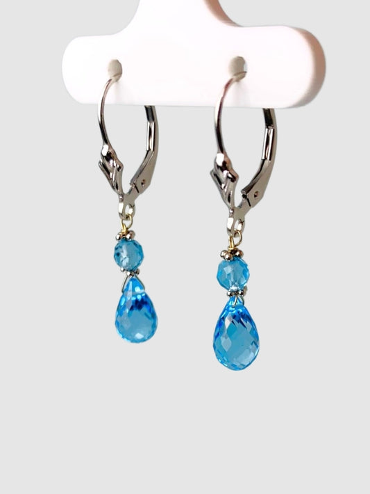 Blue Topaz 2 Stone Drop Earrings in 14KW - EAR-129-DRPGM14W-BT