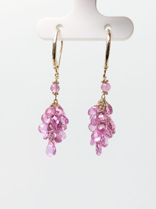 Sapphire Cluster Earrings in 14KY and 14KW
