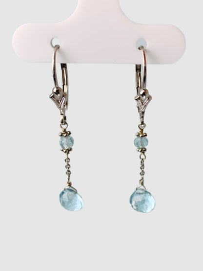 Blue Topaz 2 Station Drop Earrings in 14KW - EAR-127-DRPGM14W-BT