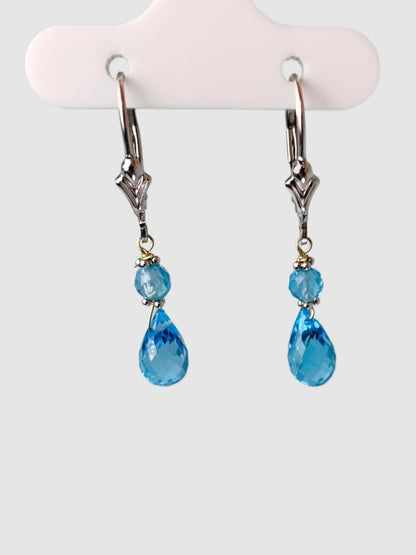 Blue Topaz 2 Stone Drop Earrings in 14KW - EAR-129-DRPGM14W-BT