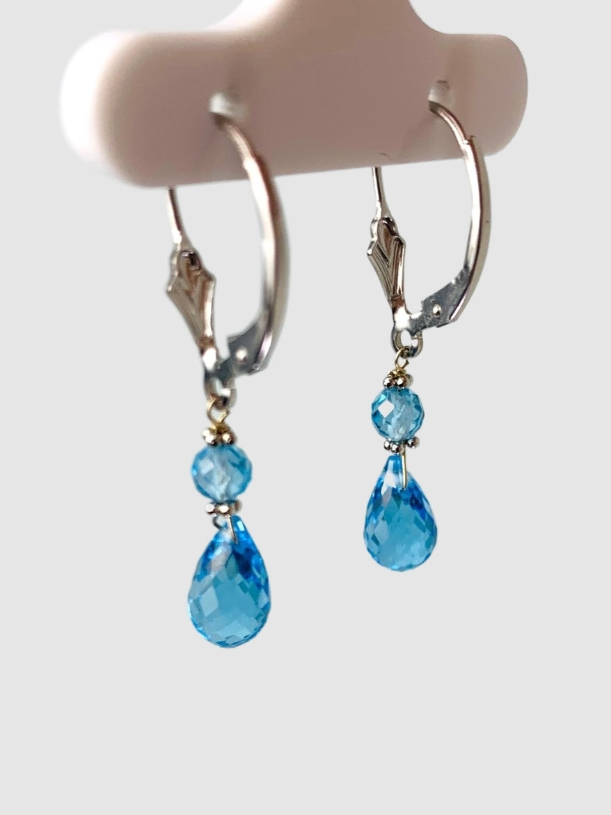 Blue Topaz 2 Stone Drop Earrings in 14KW - EAR-129-DRPGM14W-BT