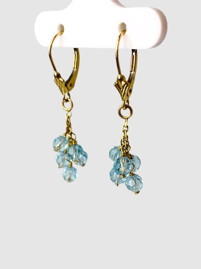 Blue Topaz Tassel Earrings in 14KY - EAR-196-TASGM14Y-BT