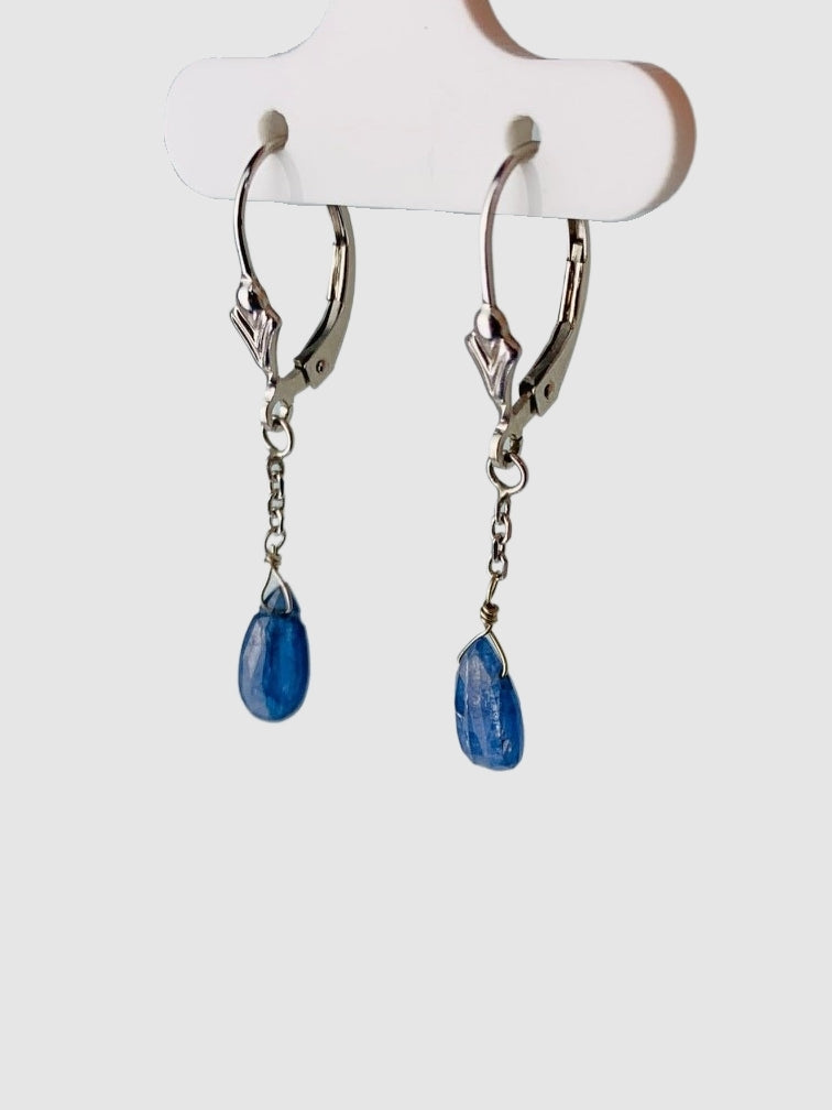 Blue Sapphire Drop Earrings in 14KW - EAR-262-1DRPGM14W-BS