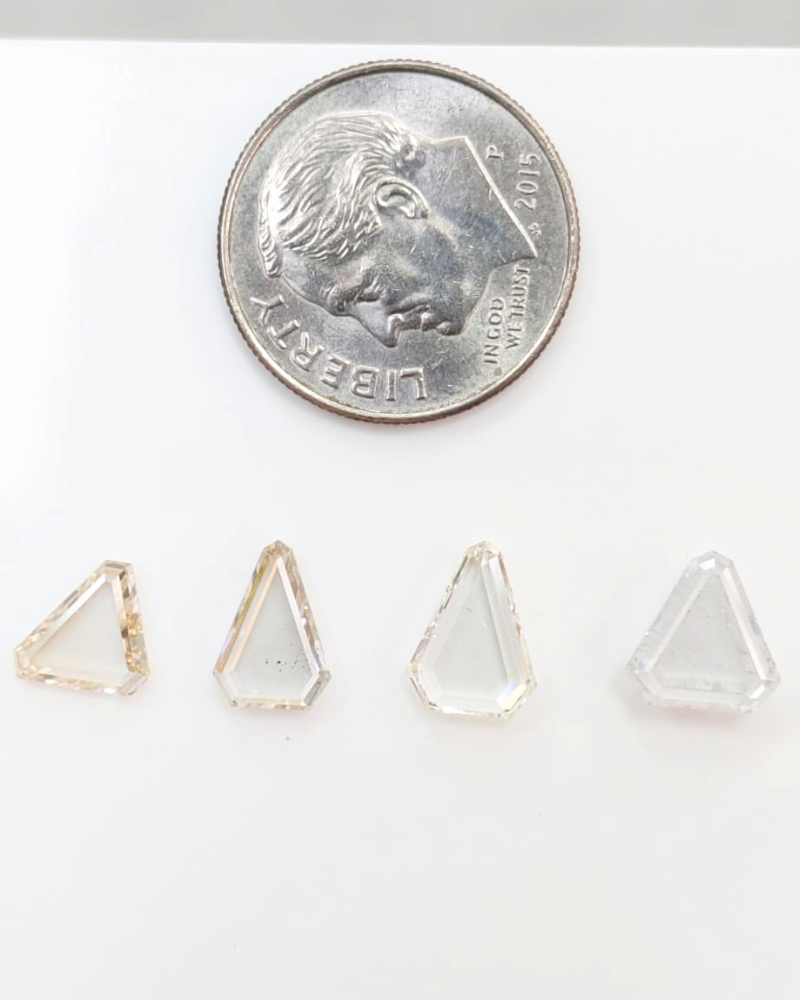 Desert Diamond Parcel #4 - Portait Cuts - 30% Off