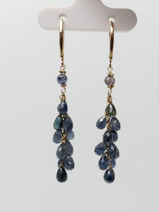 Blue Sapphire Cluster Earrings in 14KY - EAR-412